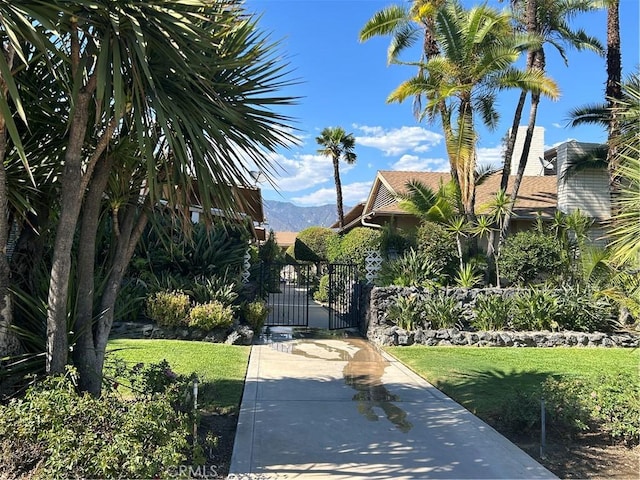 view of home's community featuring a mountain view and a yard