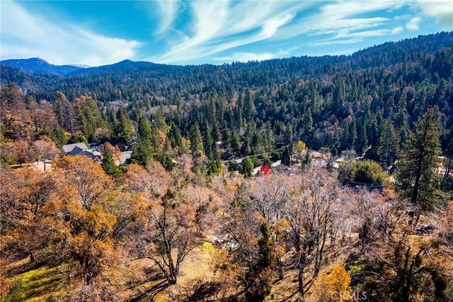 Listing photo 3 for 0 Briarwood Ln, Crestline CA 92325