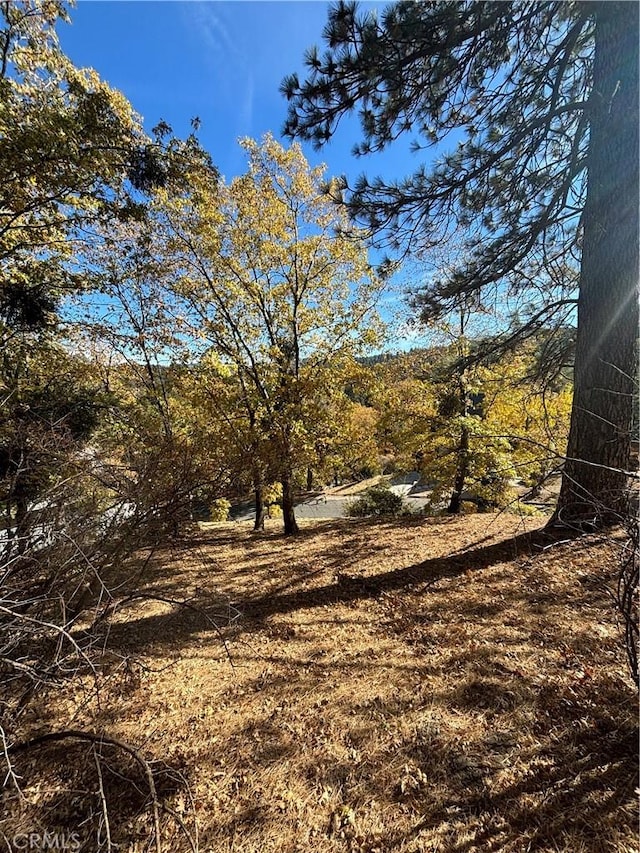 0 Briarwood Ln, Crestline, CA 92325