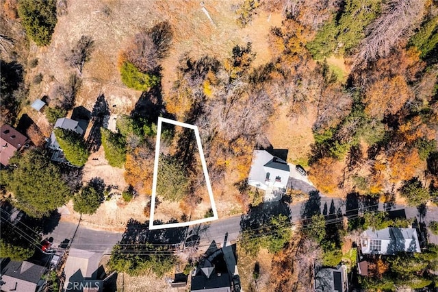 0 Briarwood Ln, Crestline, CA 92325