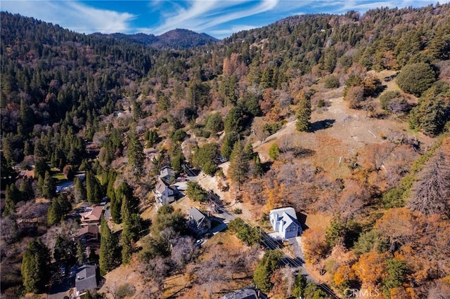 0 Briarwood Ln, Crestline, CA 92325