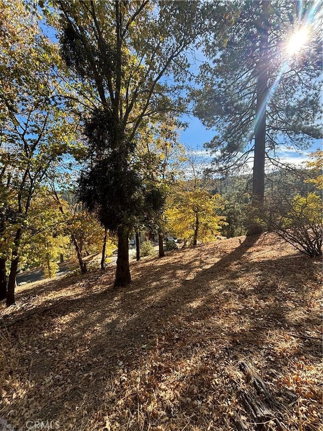 0 Briarwood Ln, Crestline, CA 92325