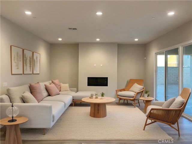 living room featuring wood-type flooring