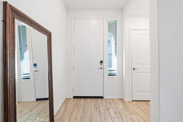 foyer with a wealth of natural light and light hardwood / wood-style flooring