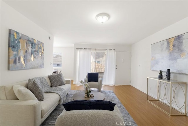 living room featuring wood-type flooring