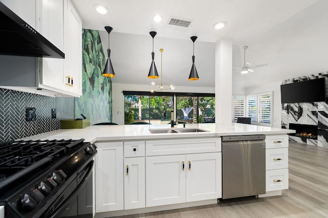 kitchen with stainless steel dishwasher, a healthy amount of sunlight, a premium fireplace, and exhaust hood