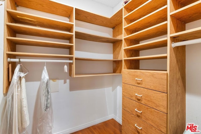 spacious closet with hardwood / wood-style floors