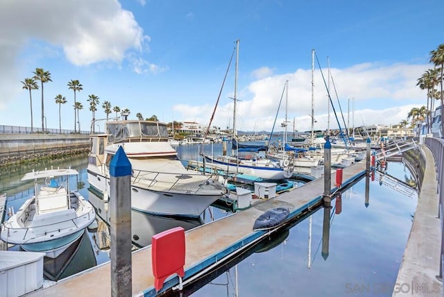 dock area with a water view