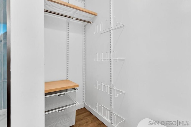 spacious closet featuring wood-type flooring