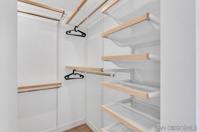 spacious closet featuring light hardwood / wood-style floors