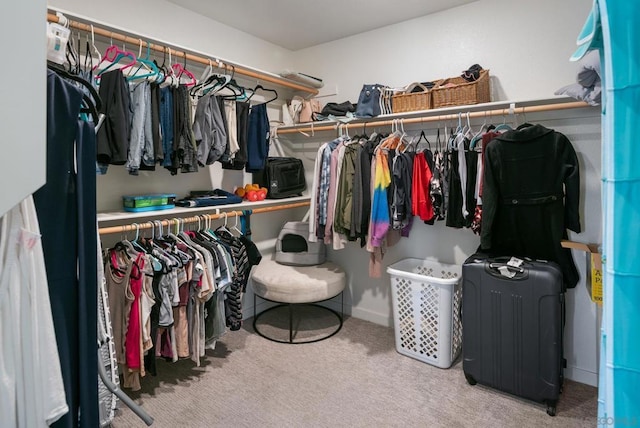 spacious closet featuring light colored carpet