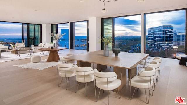 dining area with light hardwood / wood-style flooring and a wall of windows