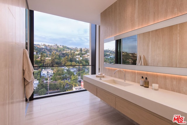 bathroom featuring sink