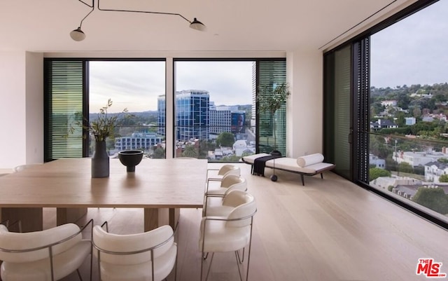 dining area featuring hardwood / wood-style floors and plenty of natural light