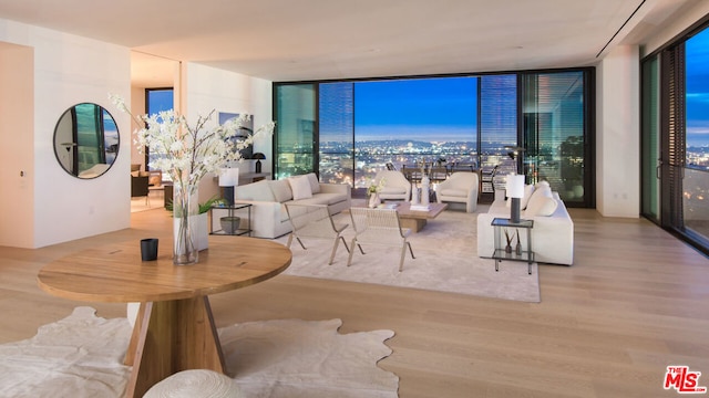 living room featuring expansive windows and light hardwood / wood-style floors