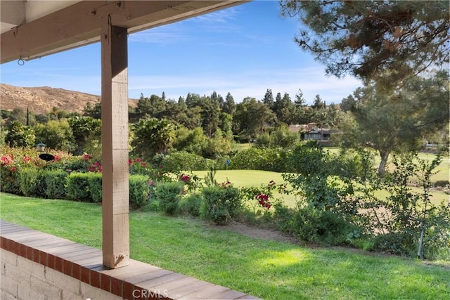 view of yard featuring a mountain view