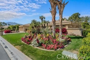 view of front of house with a front yard