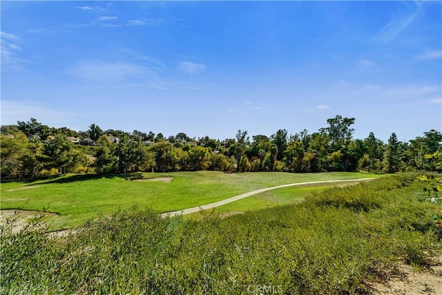 view of community featuring a lawn and a rural view