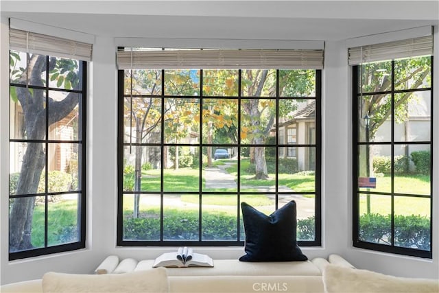 doorway featuring a wealth of natural light