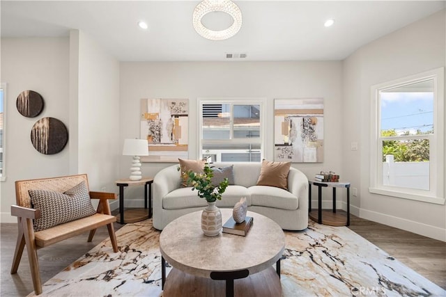 sitting room featuring wood-type flooring