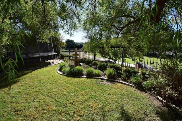 view of yard with a trampoline