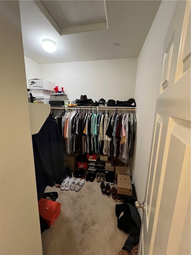 walk in closet featuring carpet