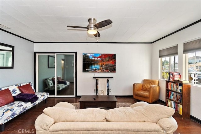 living room featuring ceiling fan, crown molding, and dark wood-type flooring