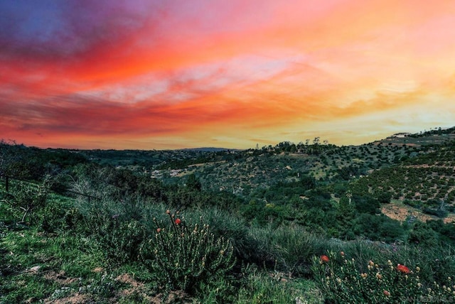 view of nature at dusk