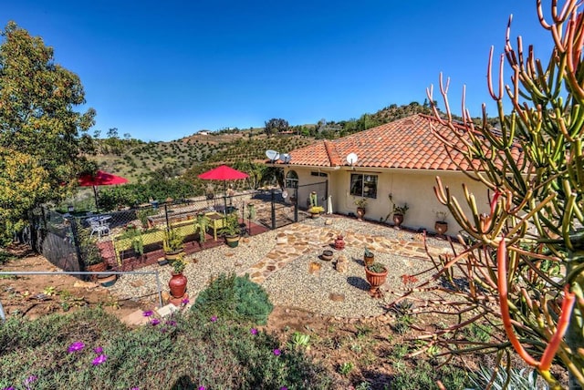 view of yard featuring a patio