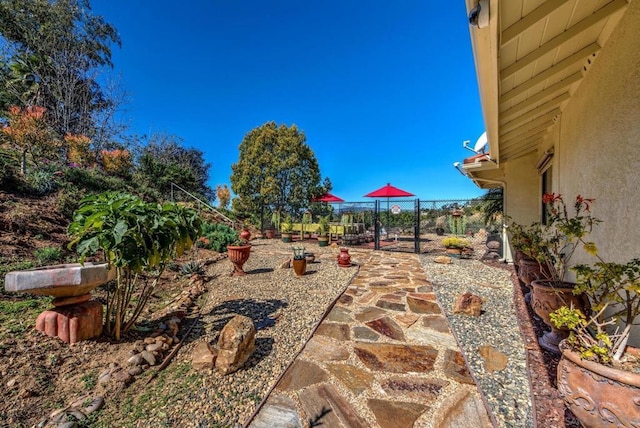 view of yard featuring a patio area