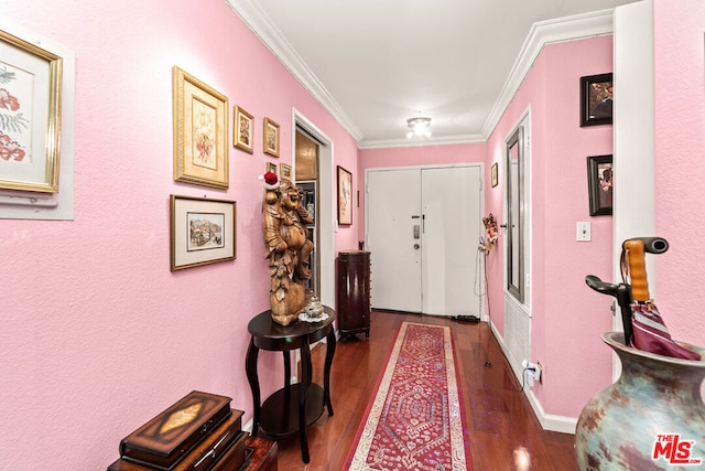 hallway with crown molding and dark wood-type flooring