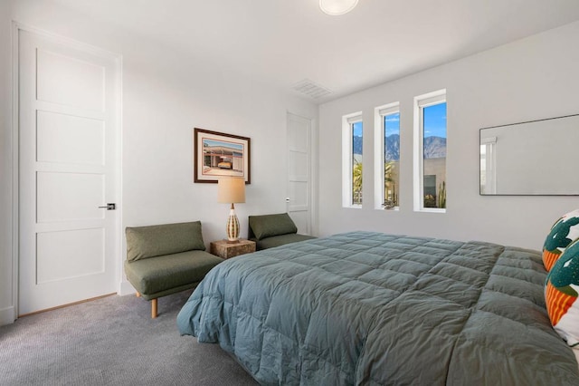 bedroom with carpet flooring