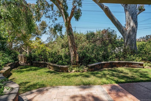 view of yard with a patio