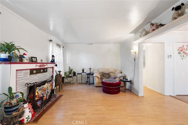 living room featuring a fireplace and light wood-type flooring