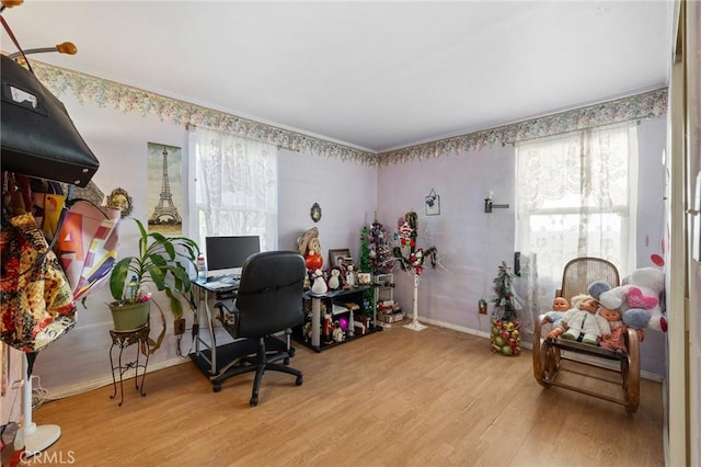 office area featuring light hardwood / wood-style floors