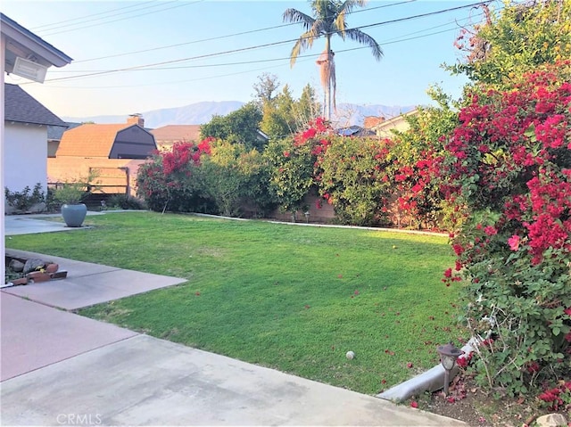 943 E Foothill Blvd, Glendora, CA 91741 - photo 4