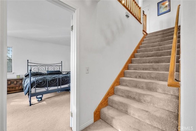 stairs with carpet flooring