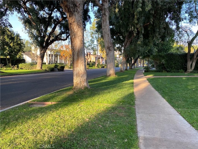 view of road