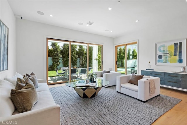 living room featuring hardwood / wood-style floors