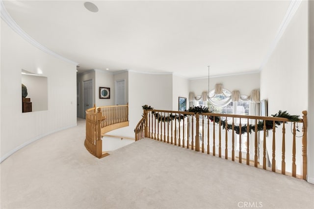 hall with an inviting chandelier, carpet, and ornamental molding