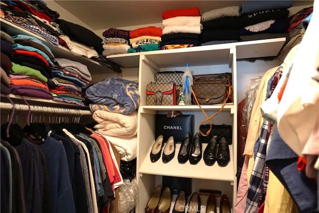 view of walk in closet