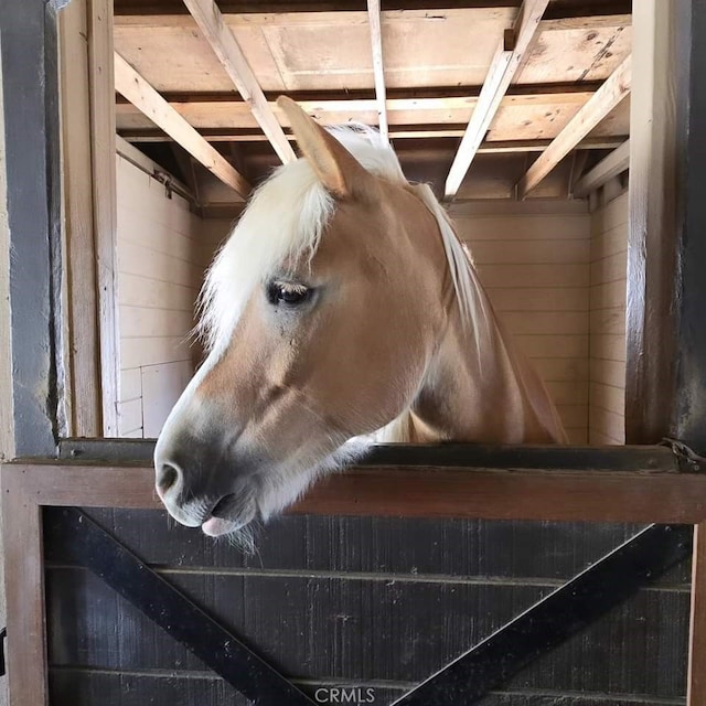 view of stable