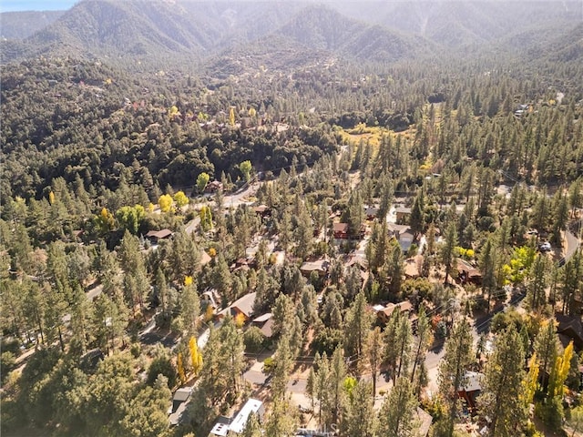 drone / aerial view featuring a mountain view