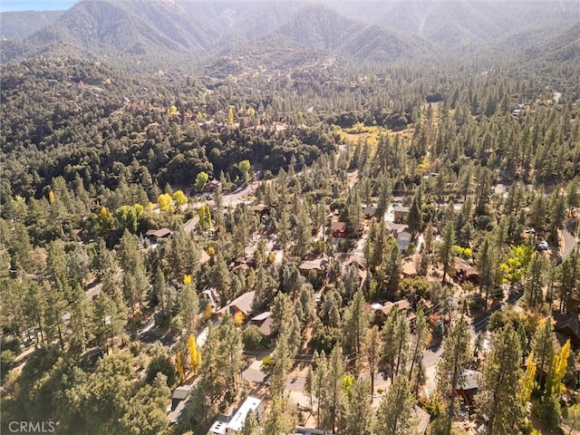 bird's eye view with a mountain view and a forest view