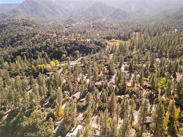 16008 Edgewood Way, Pine Mountain Club, CA 93222 - photo 45