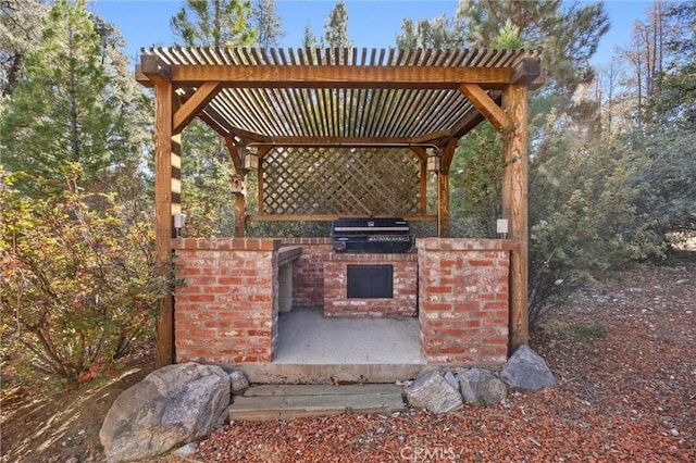 view of patio featuring area for grilling and a grill