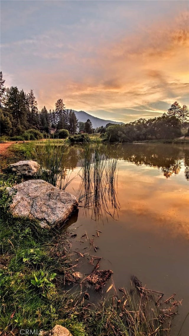 property view of water featuring a mountain view