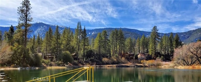16008 Edgewood Way, Pine Mountain Club, CA 93222 - photo 53