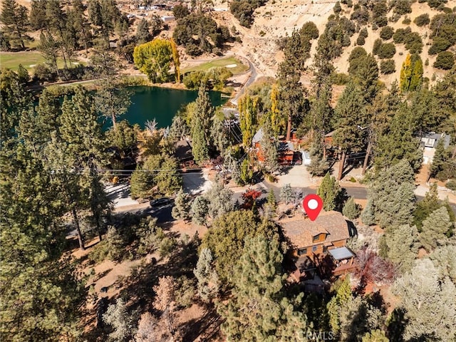 16008 Edgewood Way, Pine Mountain Club, CA 93222 - photo 57
