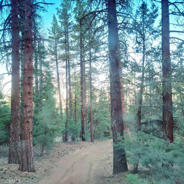 exterior space with a wooded view